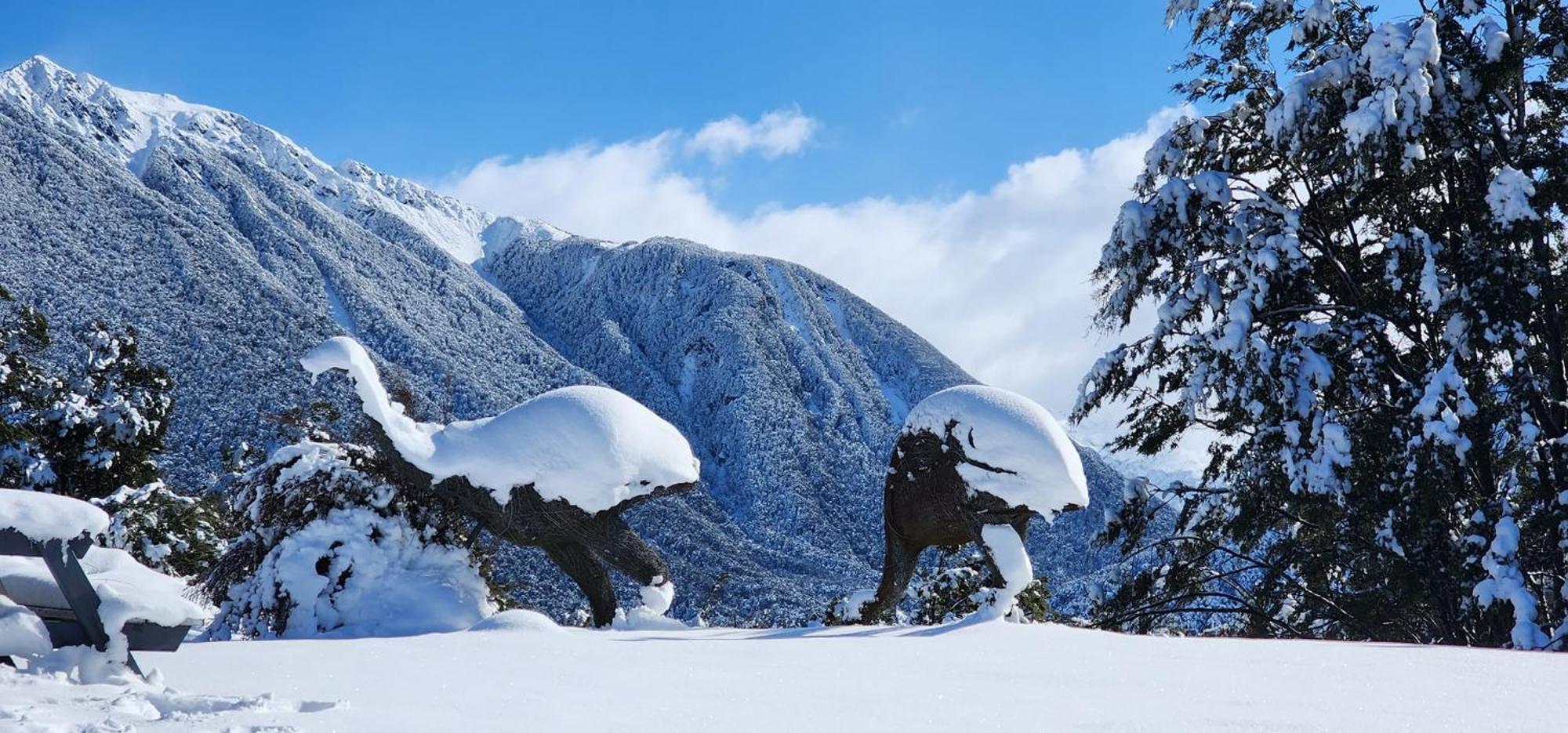 The Bealey Hotel Arthur's Pass Bagian luar foto